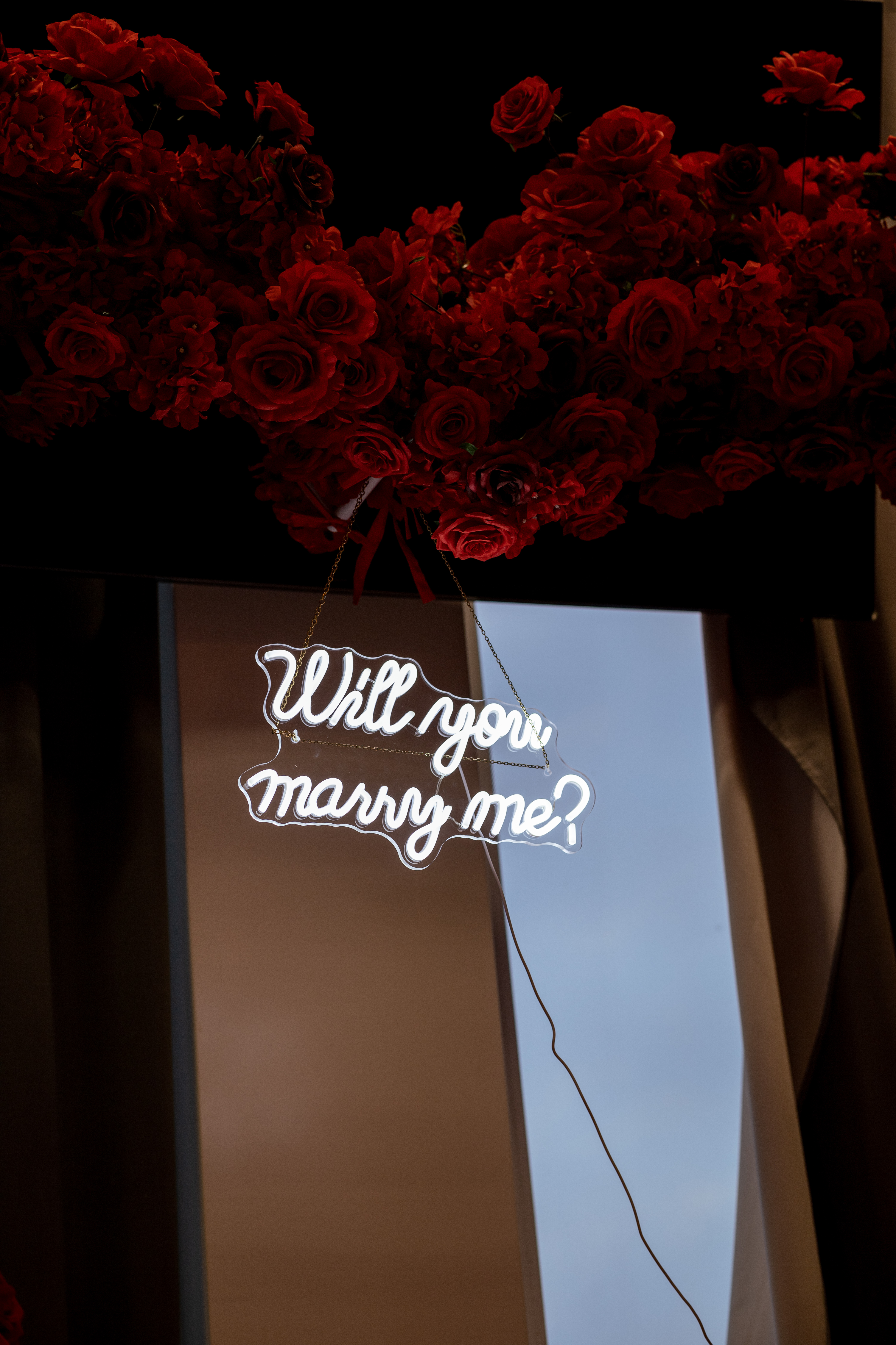 Proposals & Engagements