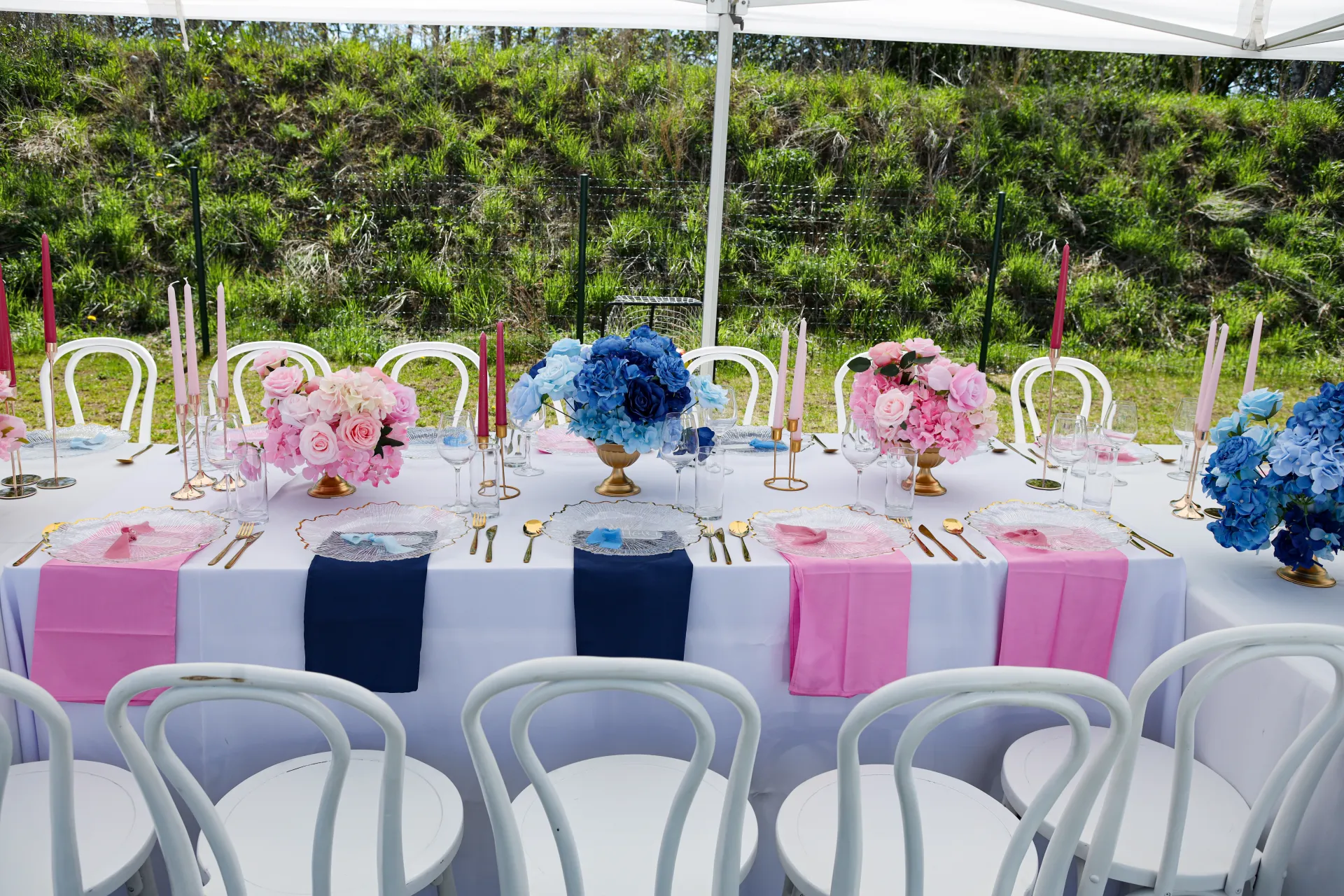 Gender Reveal